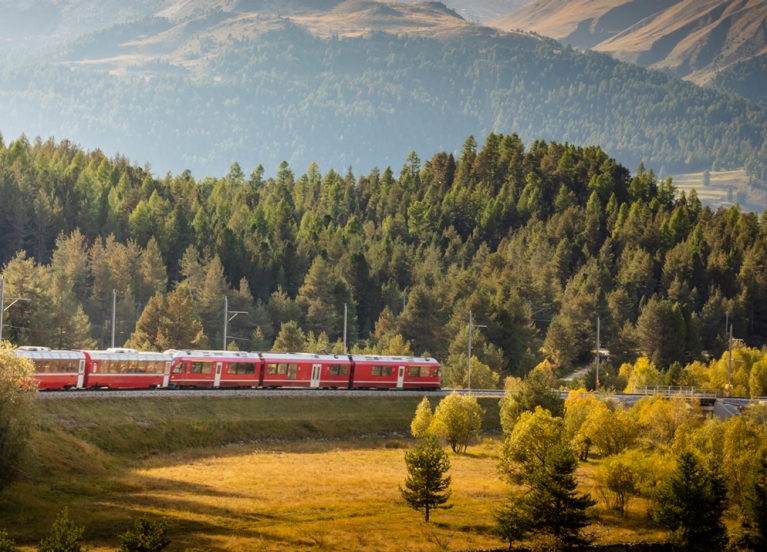Un train traversant un paysage forestier pittoresque