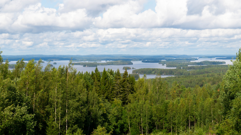 finland-kuopio-lake-country-view-of-forest-shannen