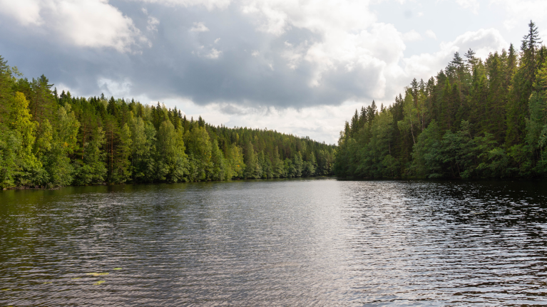 finland-kuopio-lake-view-hiking-nature-shannen