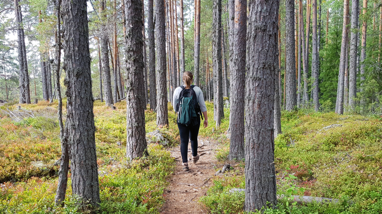 finland-linnansaari-national-park-island-hiking-shannen