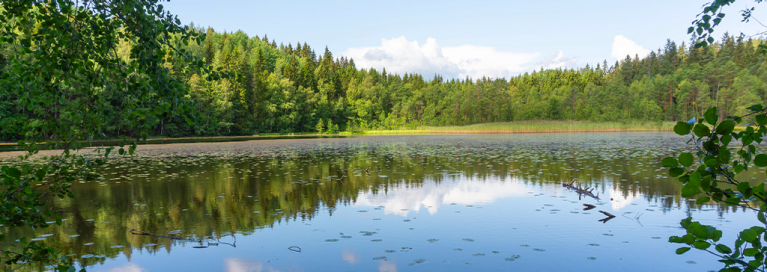 finland-tampere-lake-panorama-view