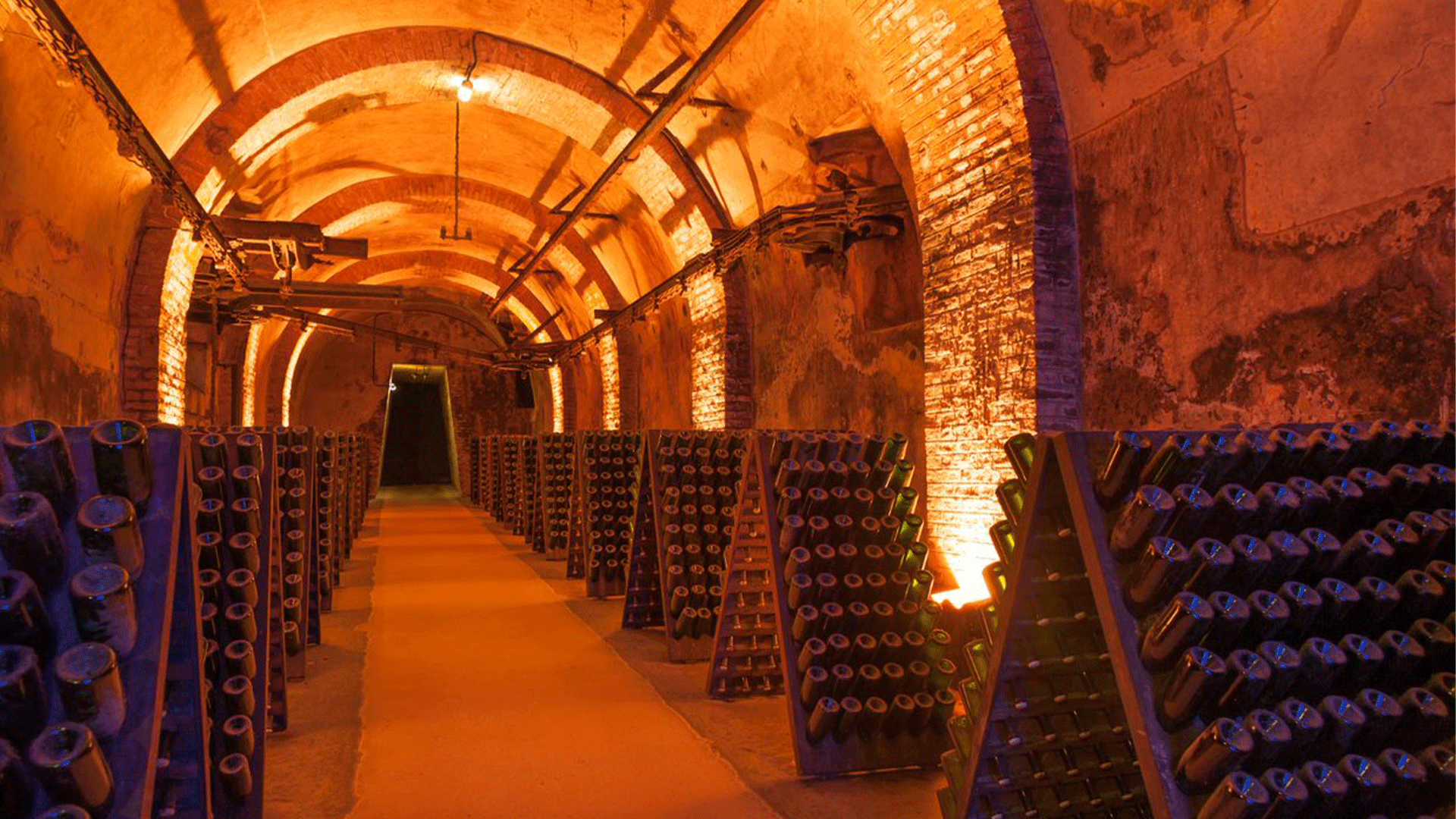 france-champagne-bottles-reims-cellar