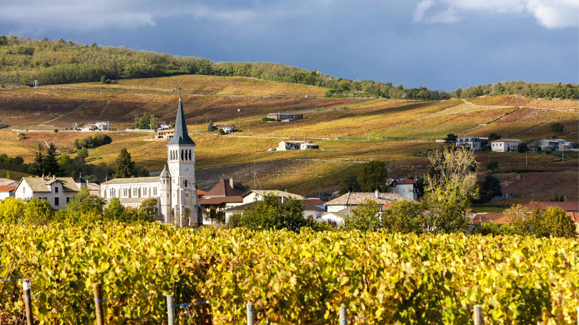 france-rhone-valley-vineyards