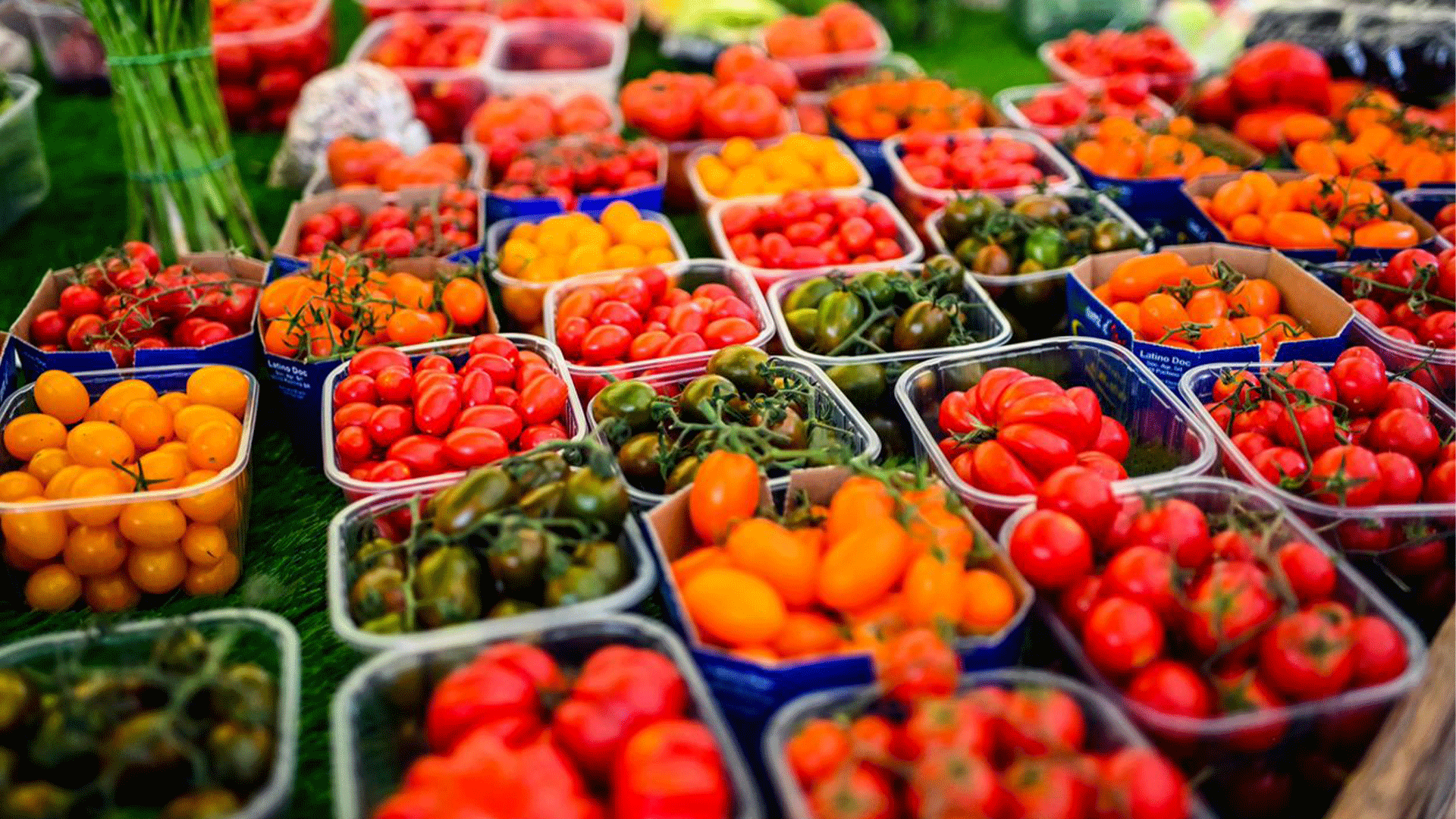 fruits-vegetables-markets-food-secret-tour