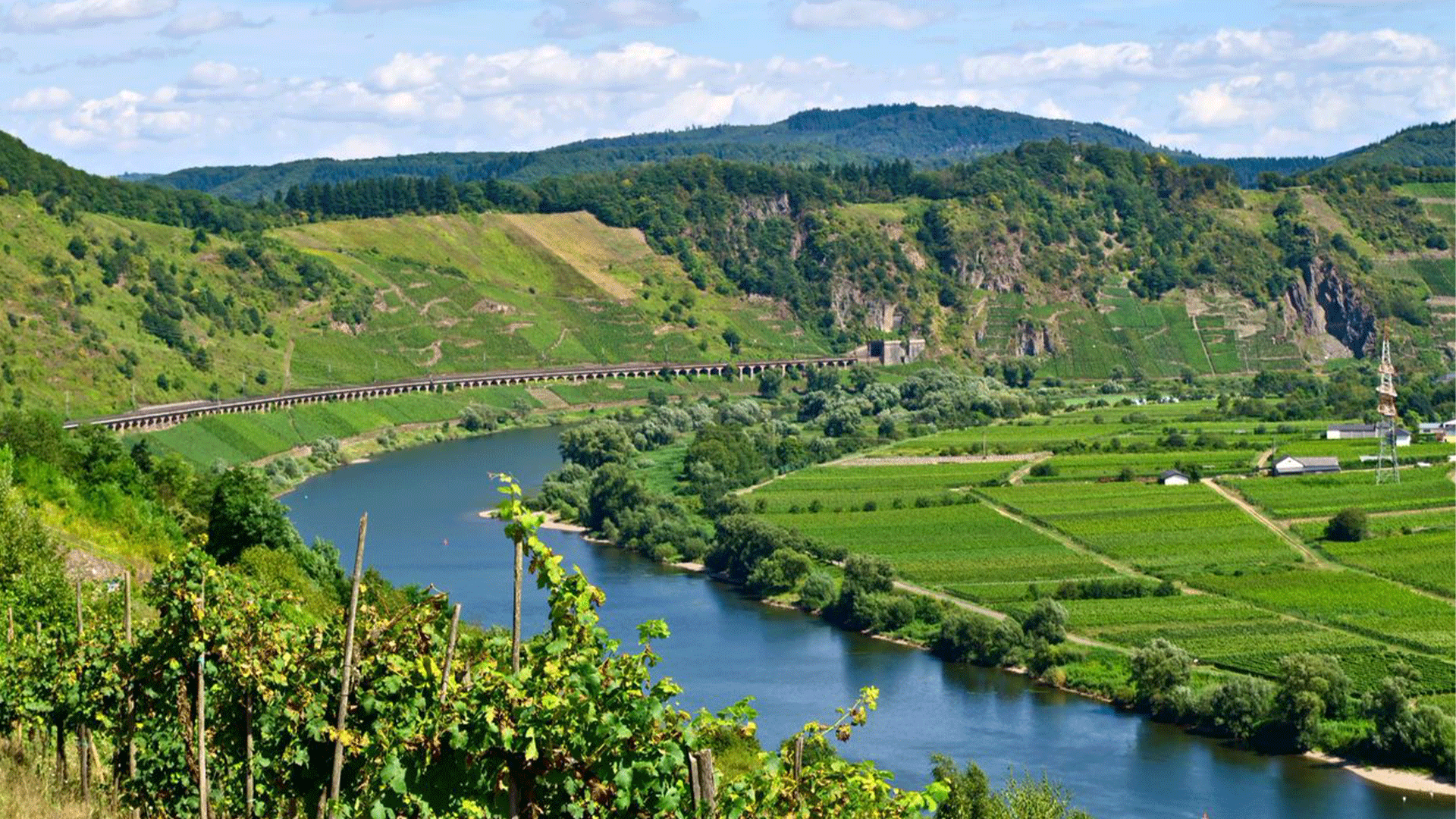 germany-mosel-region-vineyards