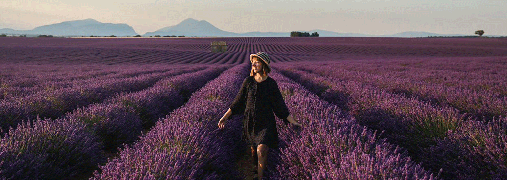 header-france-provence-vineyard-heather-woman-sunset