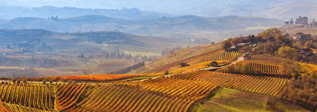 header-italy-autumn-vineyards