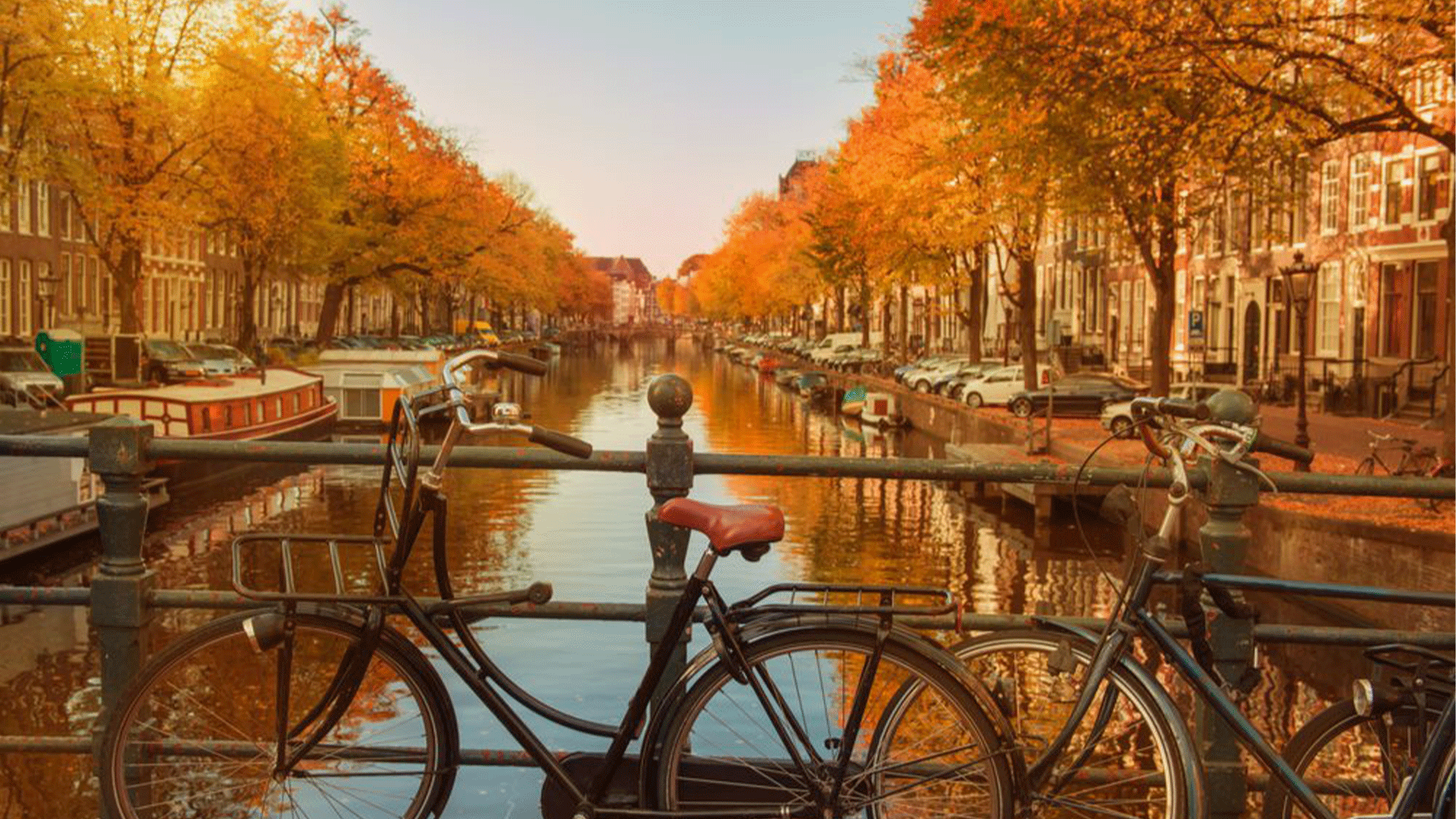 netherlands-amsterdam-autumn-canal-bike