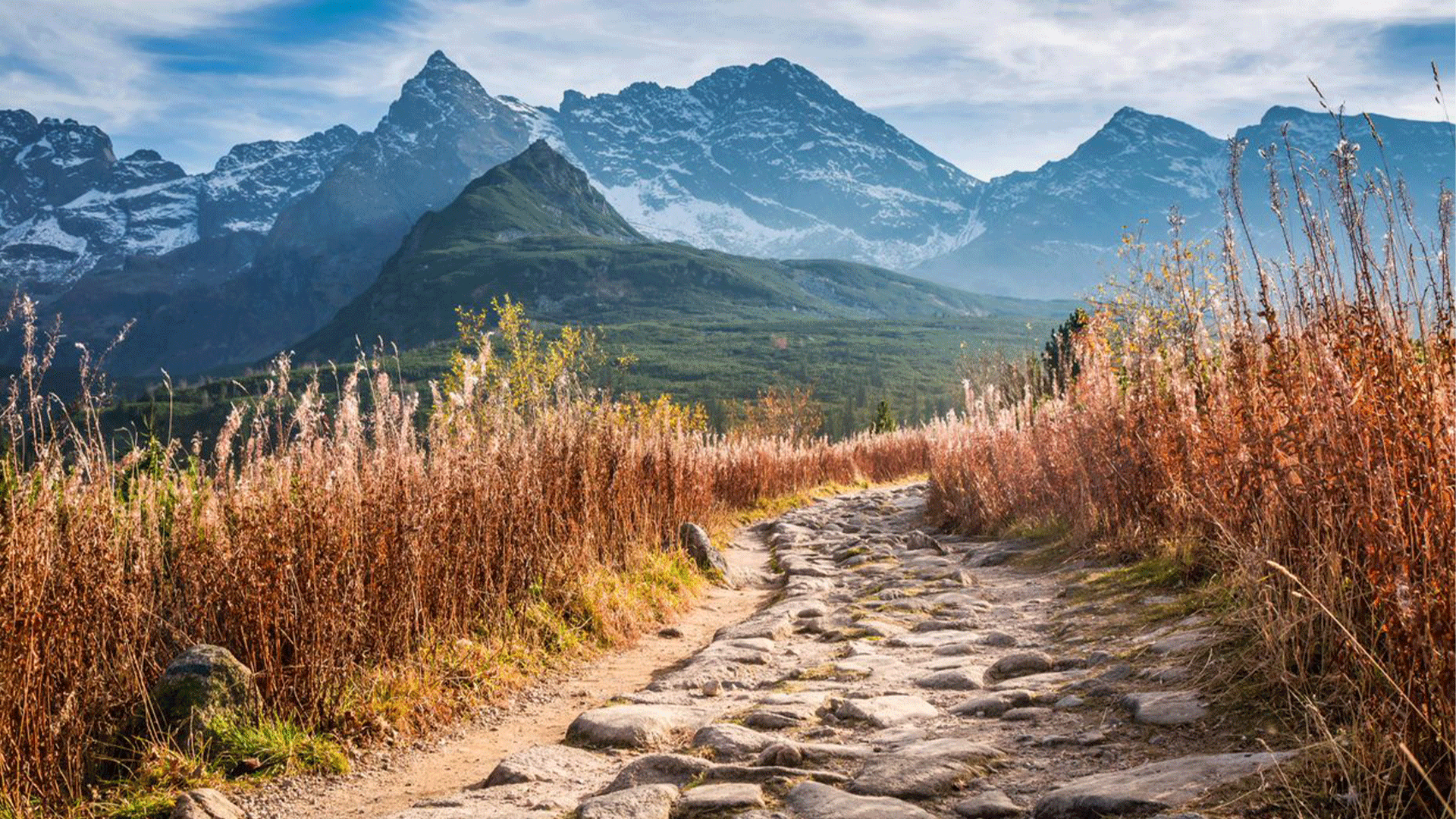 poland-tatra-national-park-valley-path