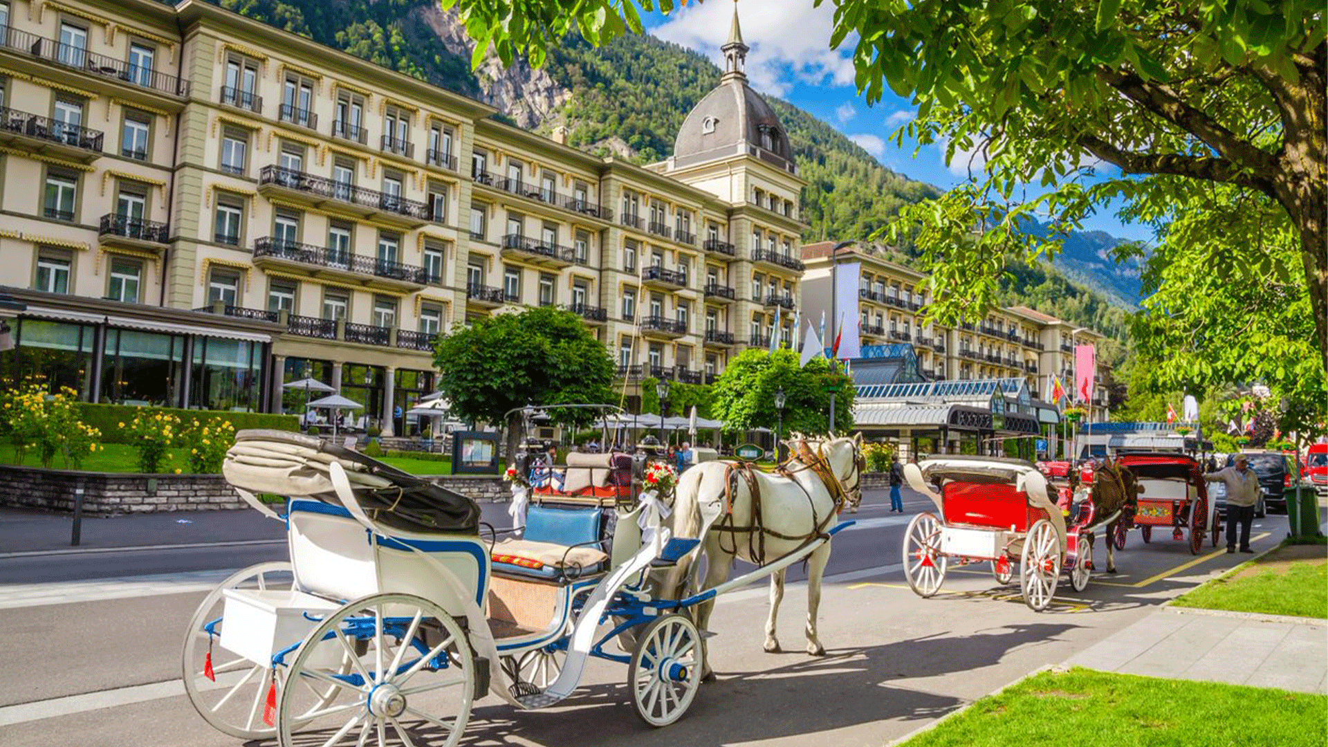 switzerland-interlaken-street-horse