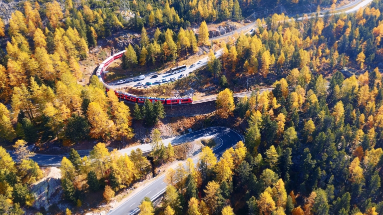 switzerland-train-forest