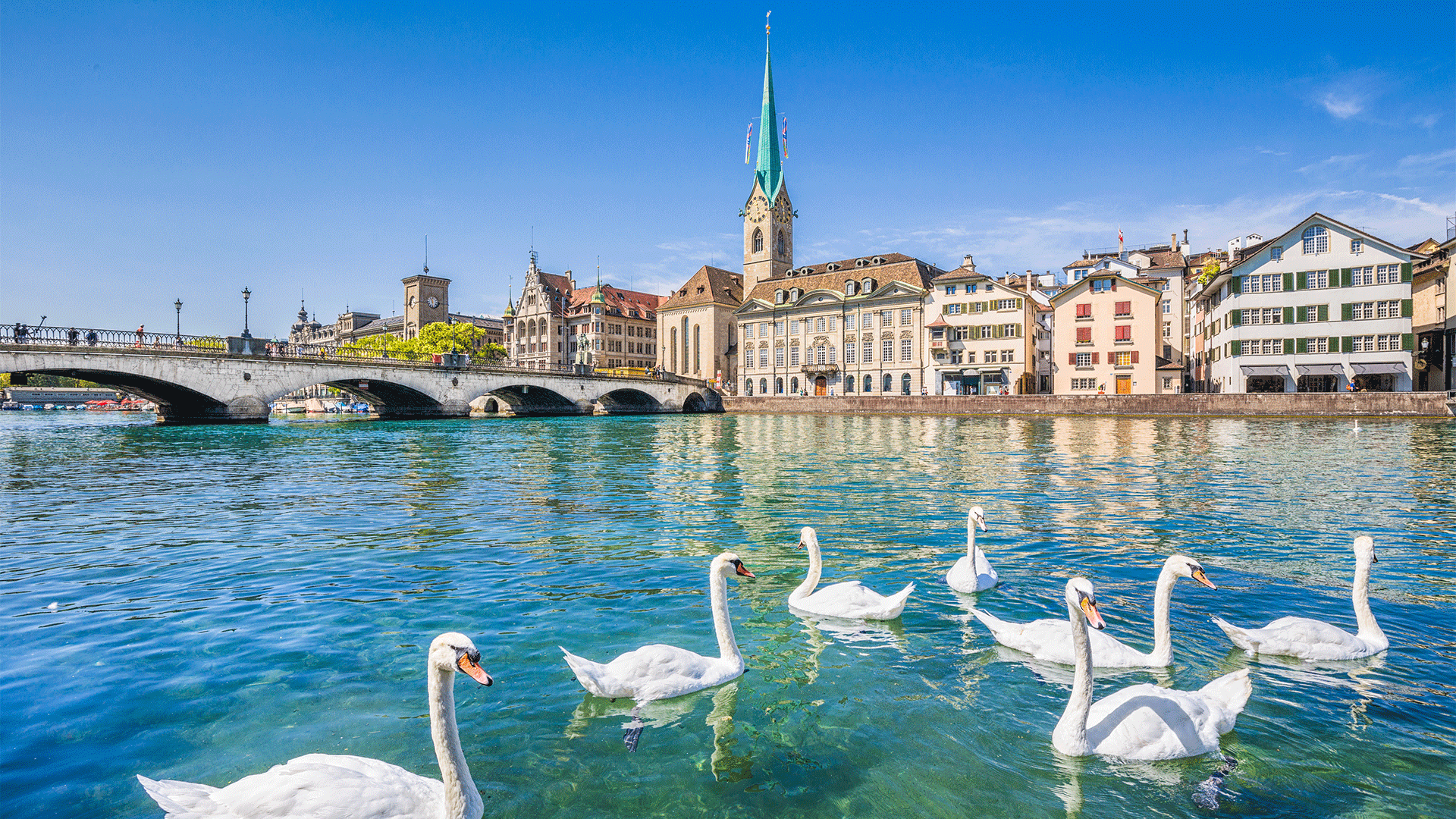 switzerland-zurich-lake-swans