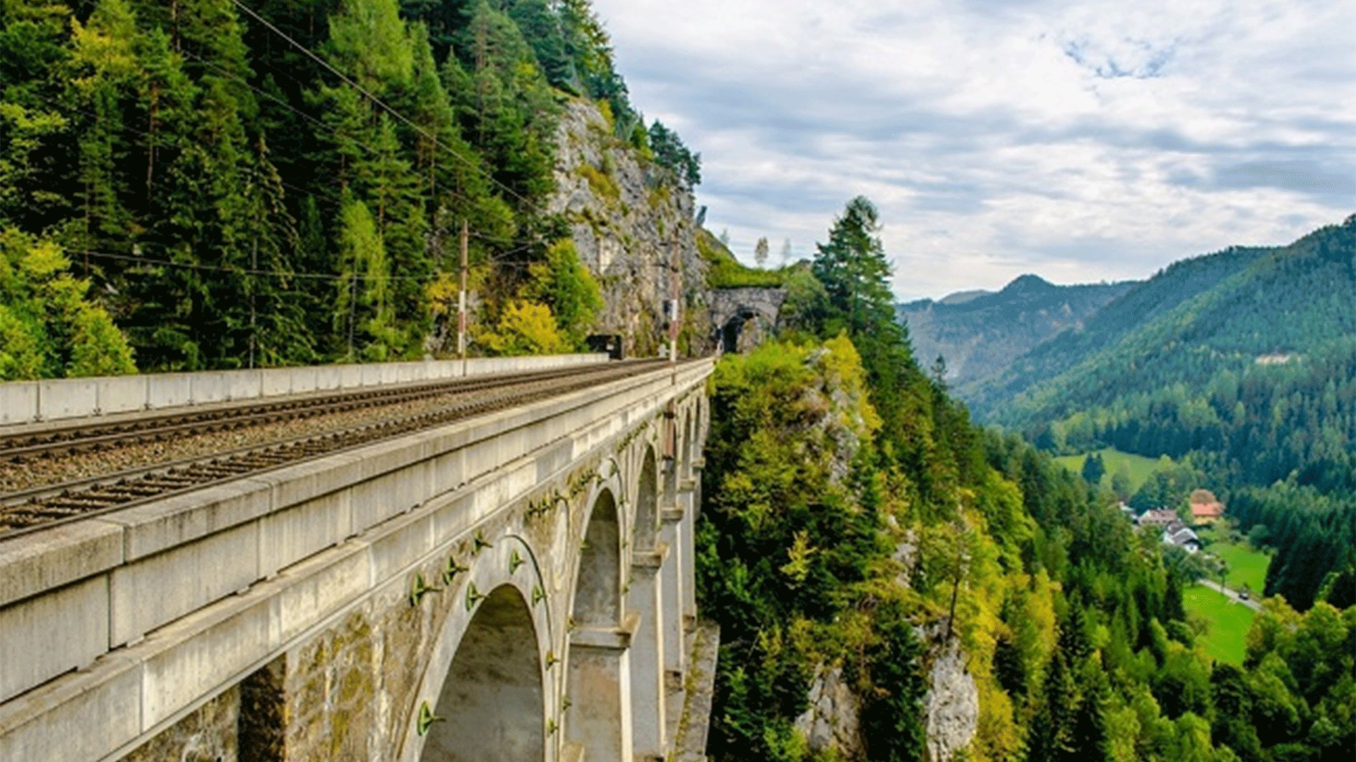train-rails-forest