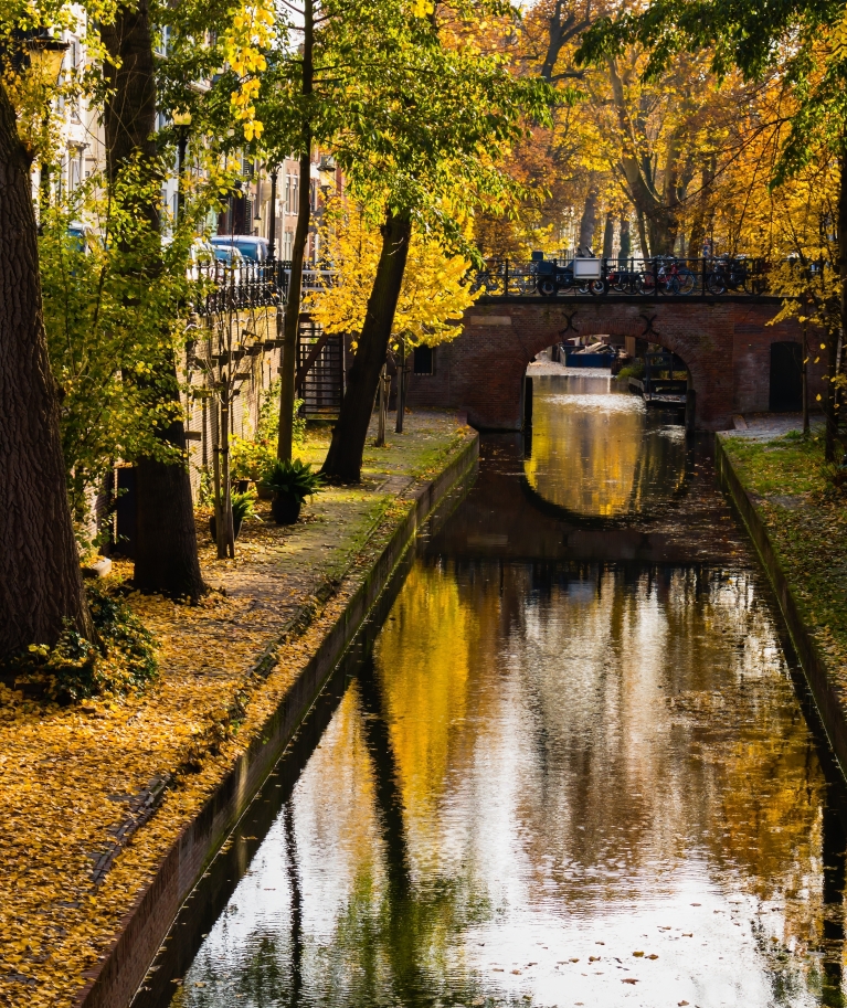 Herbstlaub spiegelt sich auf einem Kanal in Utrecht