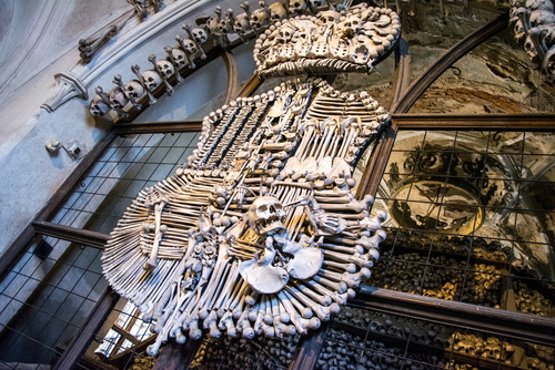 Een uniek wapenschild van het huis Schwarzenberg gemaakt van menselijke botten 