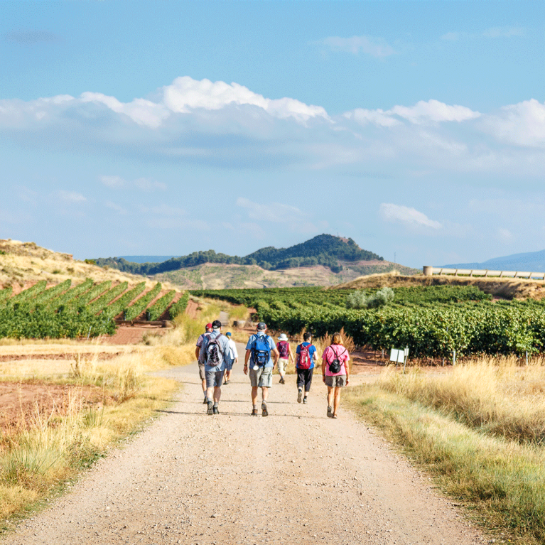 el-camino-de-santiago-pilgrims