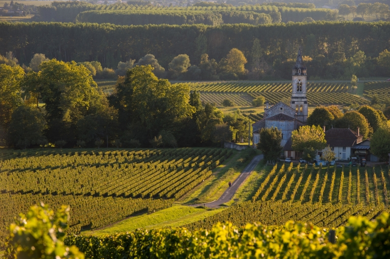 Wijngaarden in de regio Bordeaux