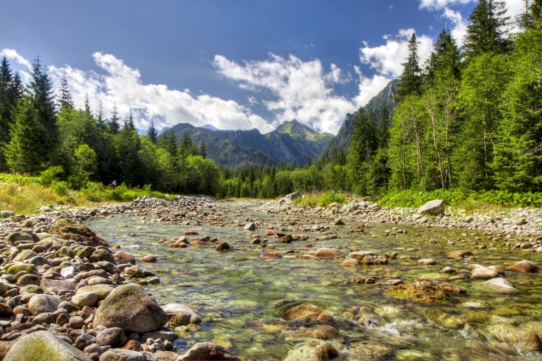view_to_alps_valley_with_the_river_in_high_tatras_national_park_slovakia