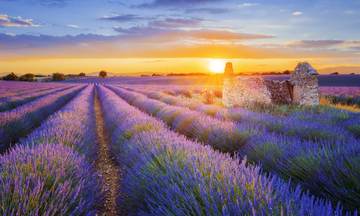 france-provence-heather-sunset-small