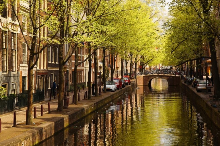 Innenstadt Amsterdams mit einem mit grünen Bäumen gesäumtem Kanal