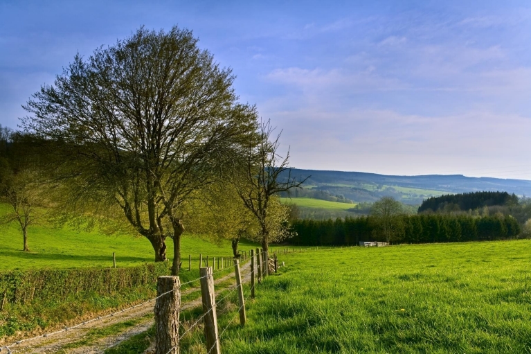     Belgische Ardennen  