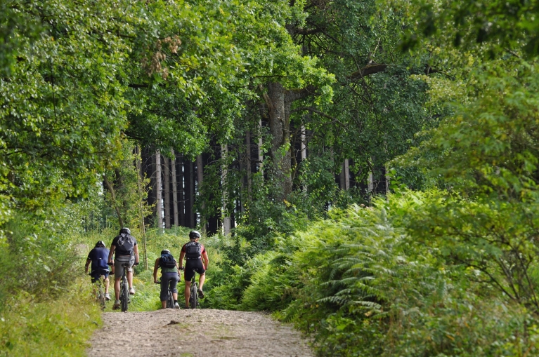 Mountainbike-Tour in den belgischen Ardennen