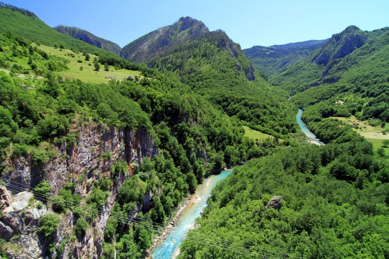 De rivier de Tara in de bergen van Montenegro