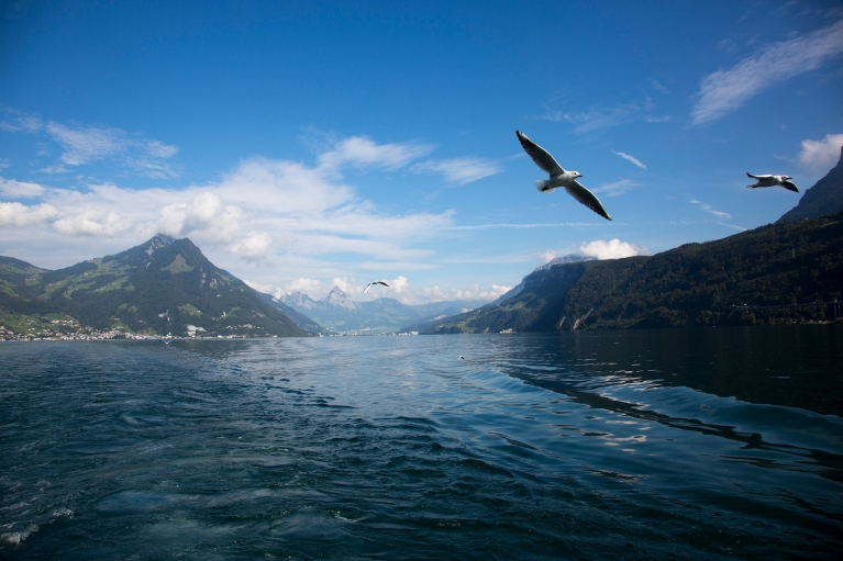 Ausblick von einem Schiff des Gotthard Panorama Express in der Schweiz
