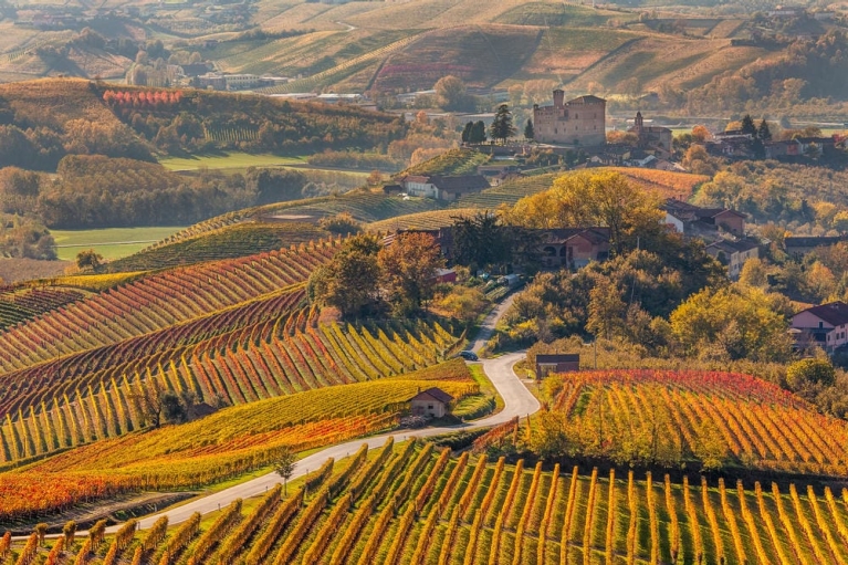 vineyards_in_piedmont_autumn_in_northern_italy