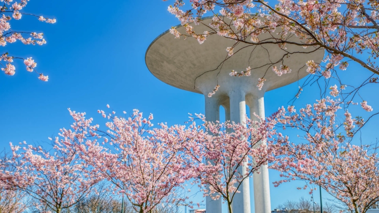 malmo-sweden-park-tower-spring