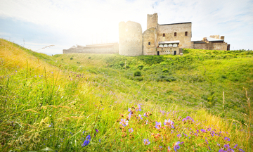 Ruins of the Rakvere castle