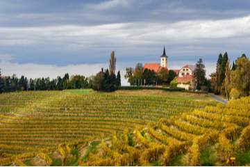 slovenia-jeruzalem-autumn-fall