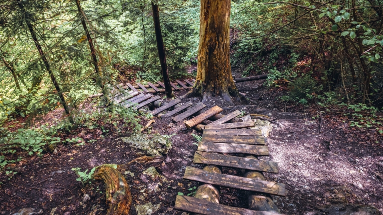 slovakia-national-park-wooden-trekking-steps