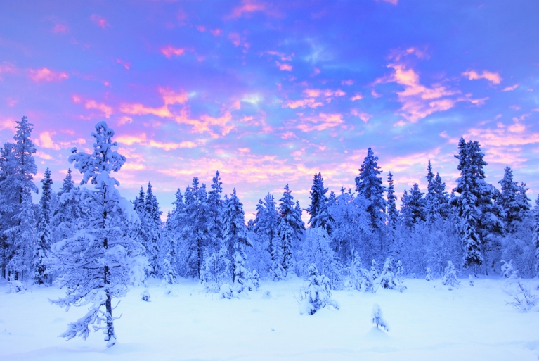 Zweeds Lapland op een heldere winterdag