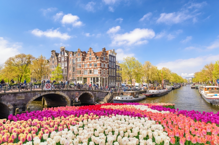 tulips-amsterdam-netherlands
